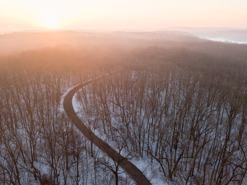 road during golden hour top-view photography