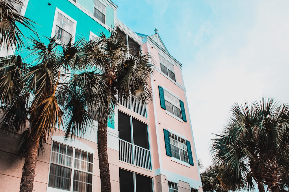 palm trees outside white building