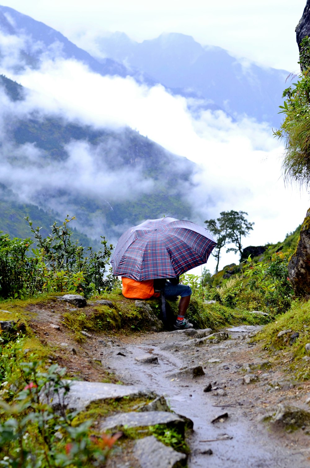 person holding umbrella