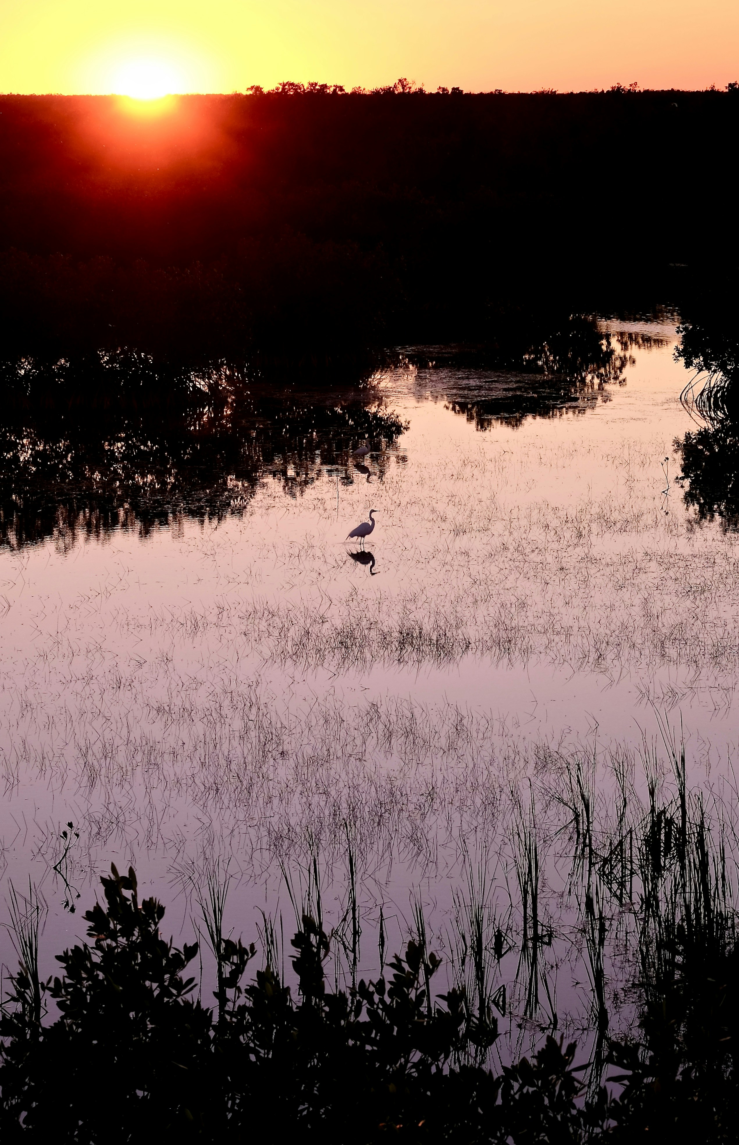 Réservez votre séance
