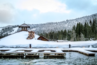 A serene northern landscape featuring a cozy cabin surrounded by tall pine trees and a clear blue sky.