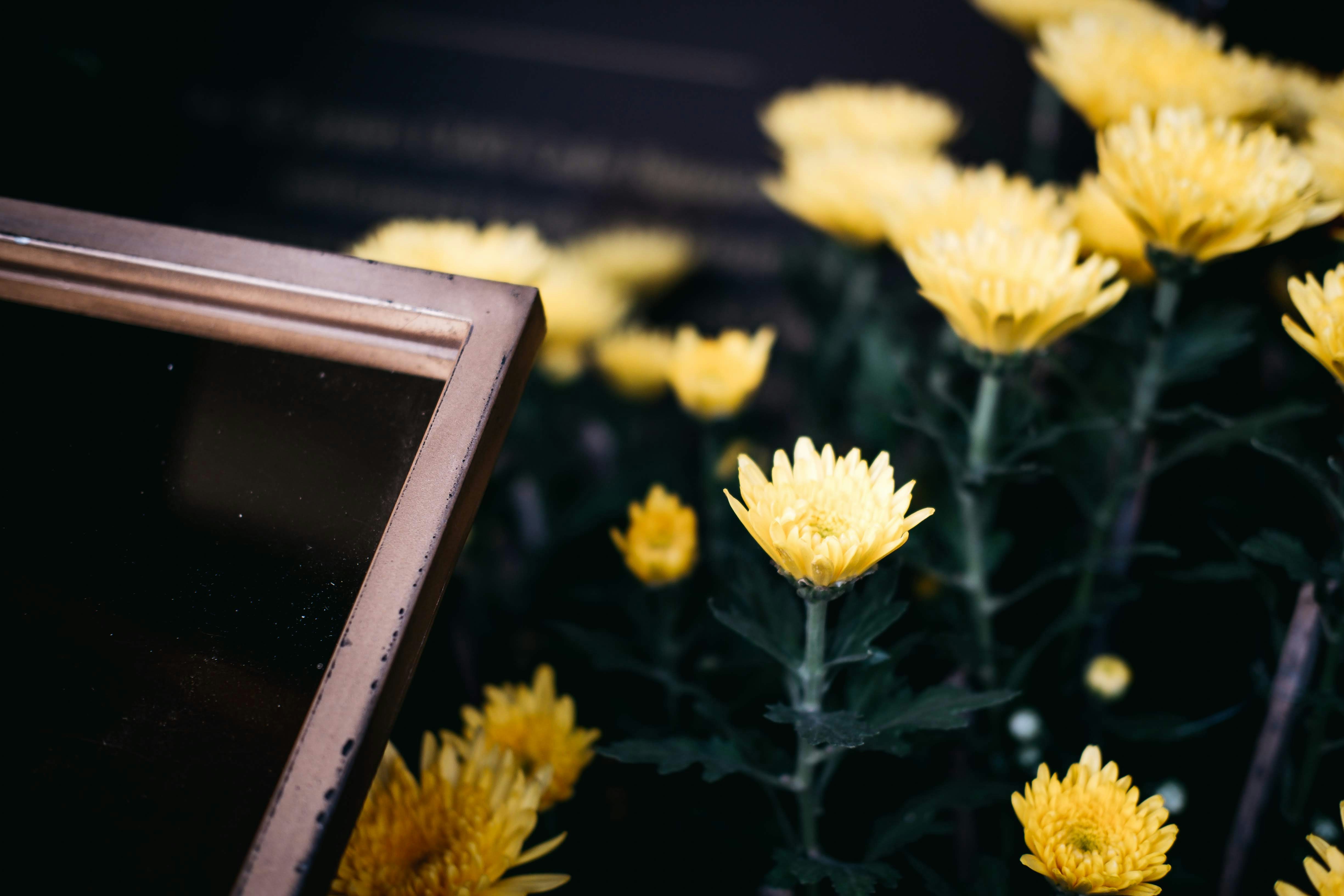 Photo by cannedstreet