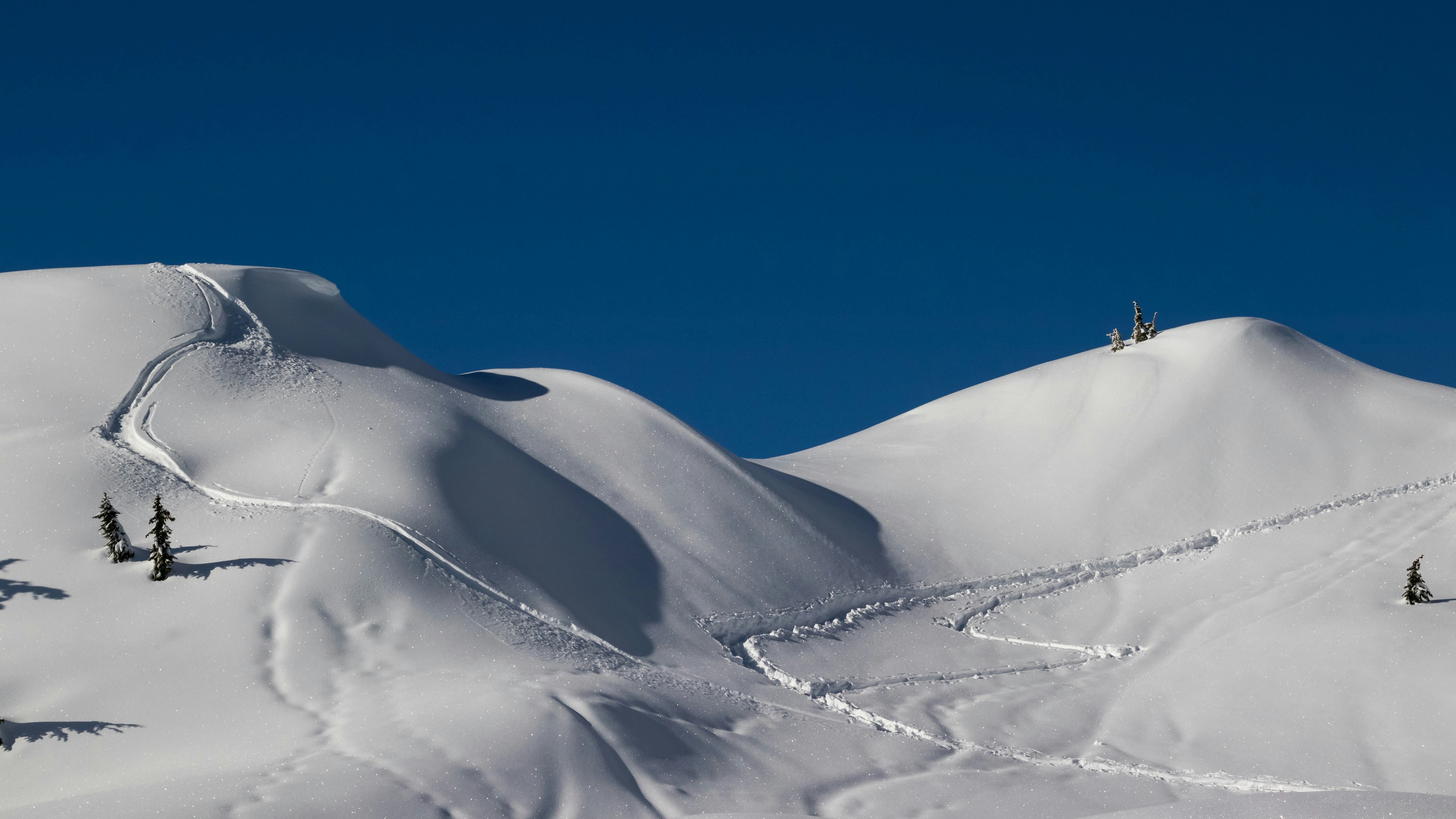 Photo by greg_rosenke