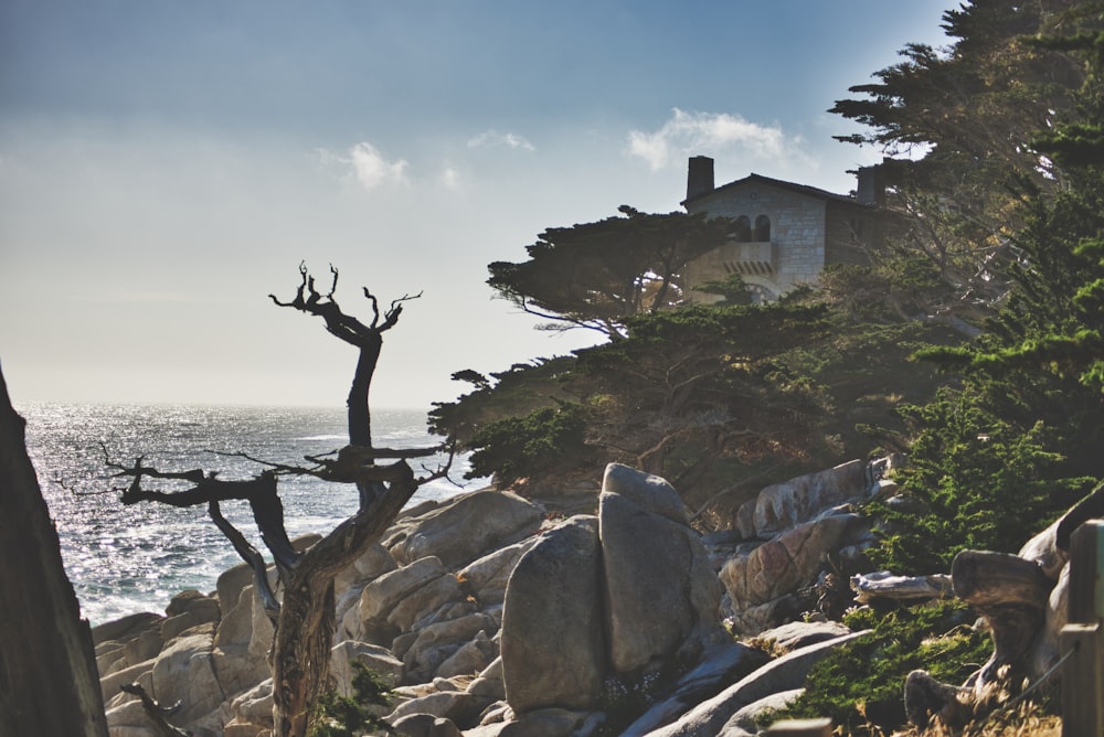 house by the cliff near ocean during