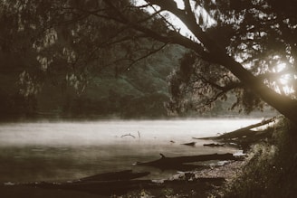A serene lakeside at dawn with soft mist and gentle light