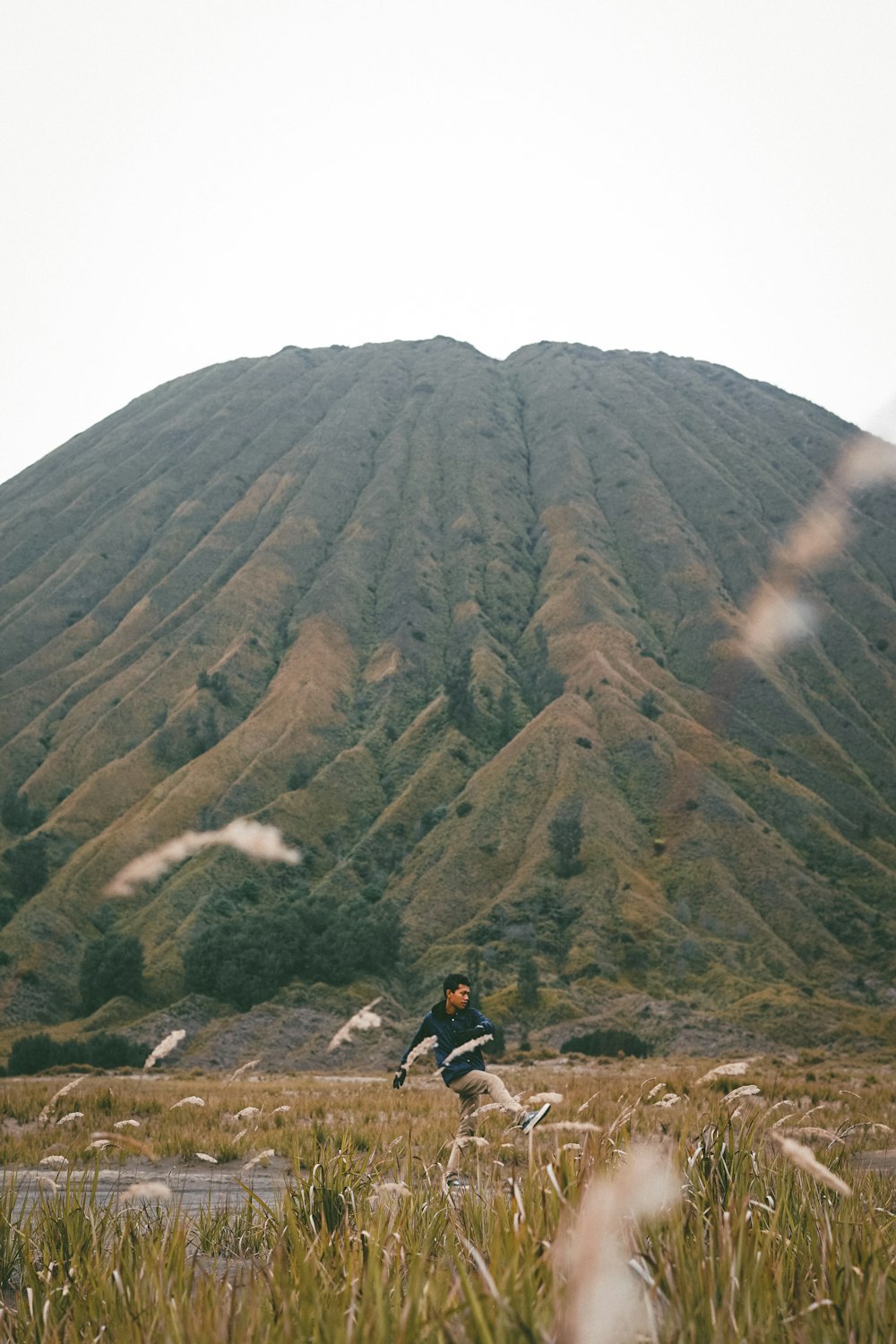 landscape photography of mountain during daytime