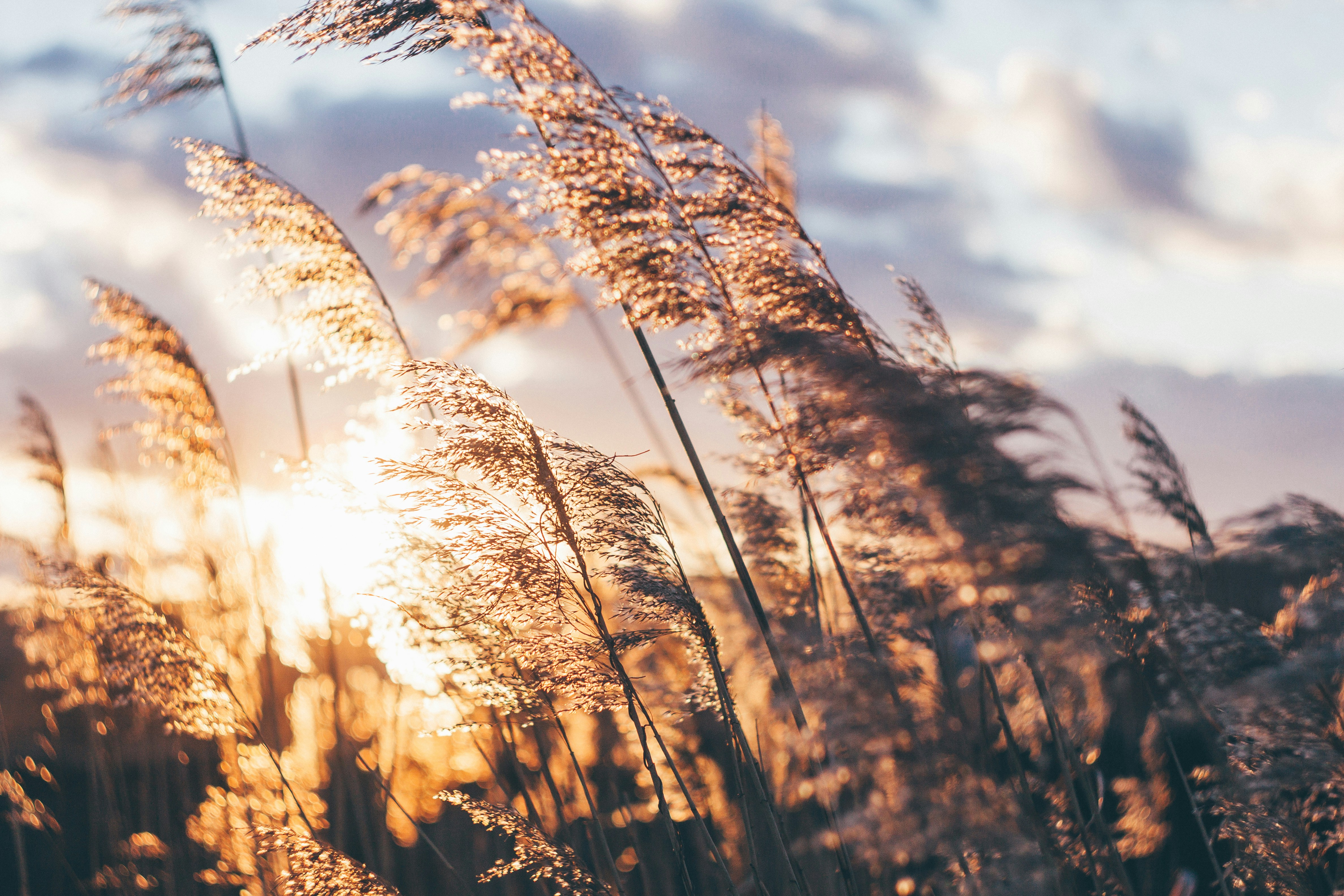 Photo by onmywayhome