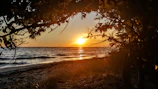 Golden sunset casting warm hues over a calm beach with gentle waves