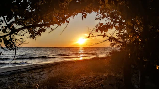 Golden sunset casting warm light over a tranquil Bali beach with gentle waves and palm trees.