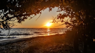 Golden sunset casting warm hues over a tranquil Andaman beach with gentle waves.