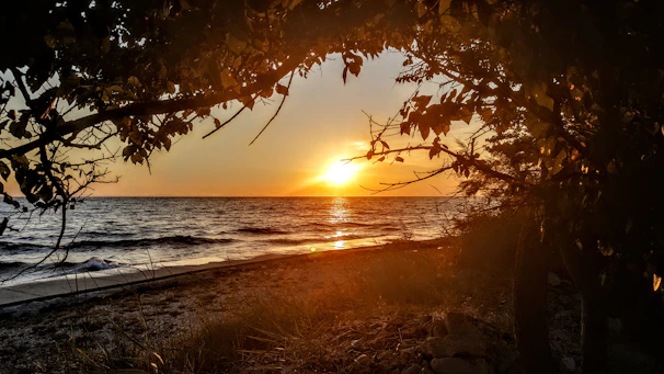 Golden sunset casting warm light over a tranquil Bali beach with gentle waves and palm trees.