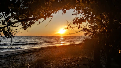 Golden sunset casting warm light over tranquil beach waves.