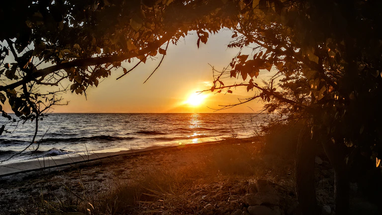 Golden sunset casting warm light over a tranquil tropical beach with gentle waves.