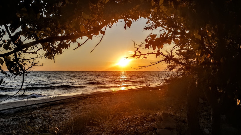 Golden sunset casting warm hues over a tranquil Andaman beach with gentle waves.