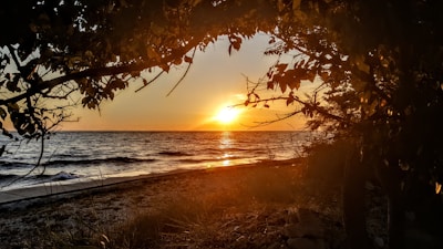 Golden sunset casting warm light over a peaceful Goan beach with gentle waves.