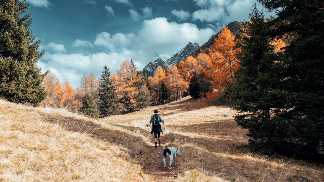man walking on pathway,