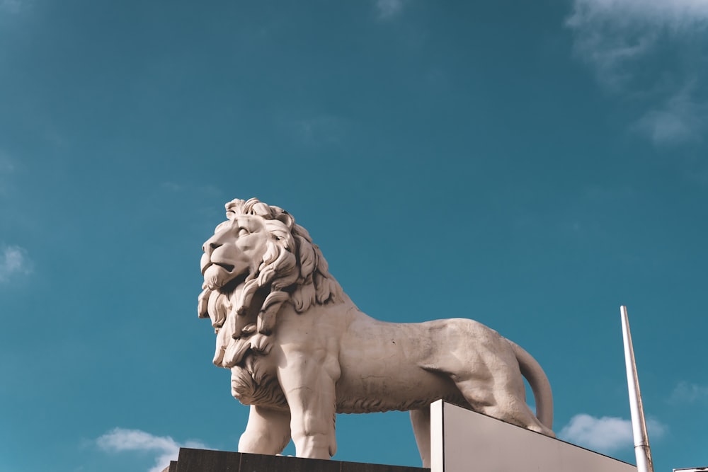 Statua di leone in cemento grigio durante il giorno