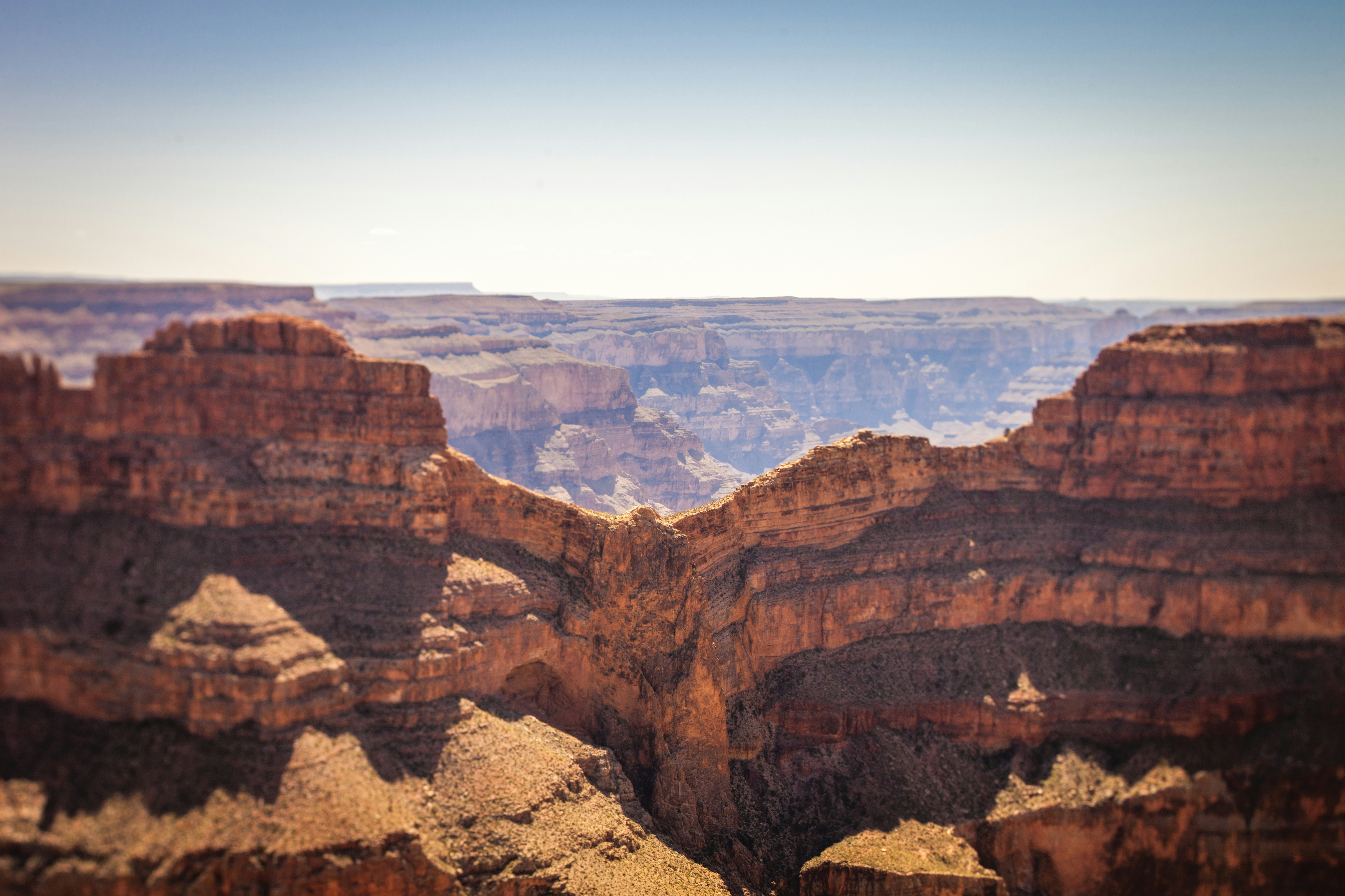 Photo by heathergill