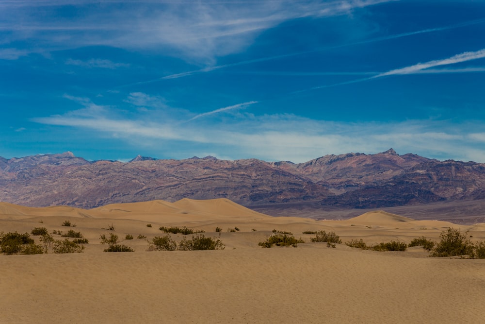 desert under clear blue sky at daytime