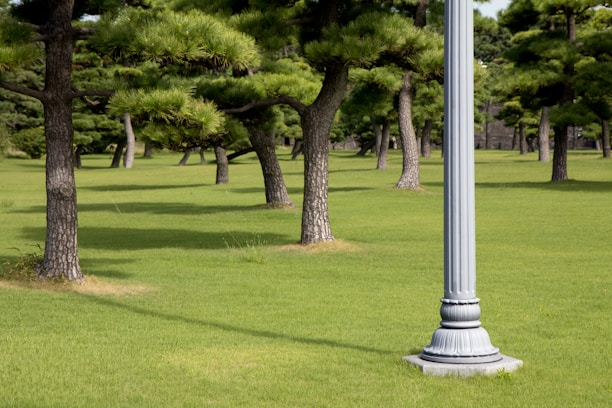 A well-maintained RV park with spacious lots and greenery.