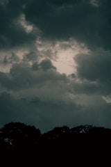 Dark, looming clouds gather overhead, casting a shadow over the silhouetted treetops below. The atmosphere suggests an impending storm as the cloud cover appears thick and turbulent.