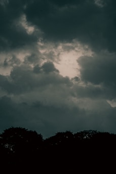 Dark, looming clouds gather overhead, casting a shadow over the silhouetted treetops below. The atmosphere suggests an impending storm as the cloud cover appears thick and turbulent.