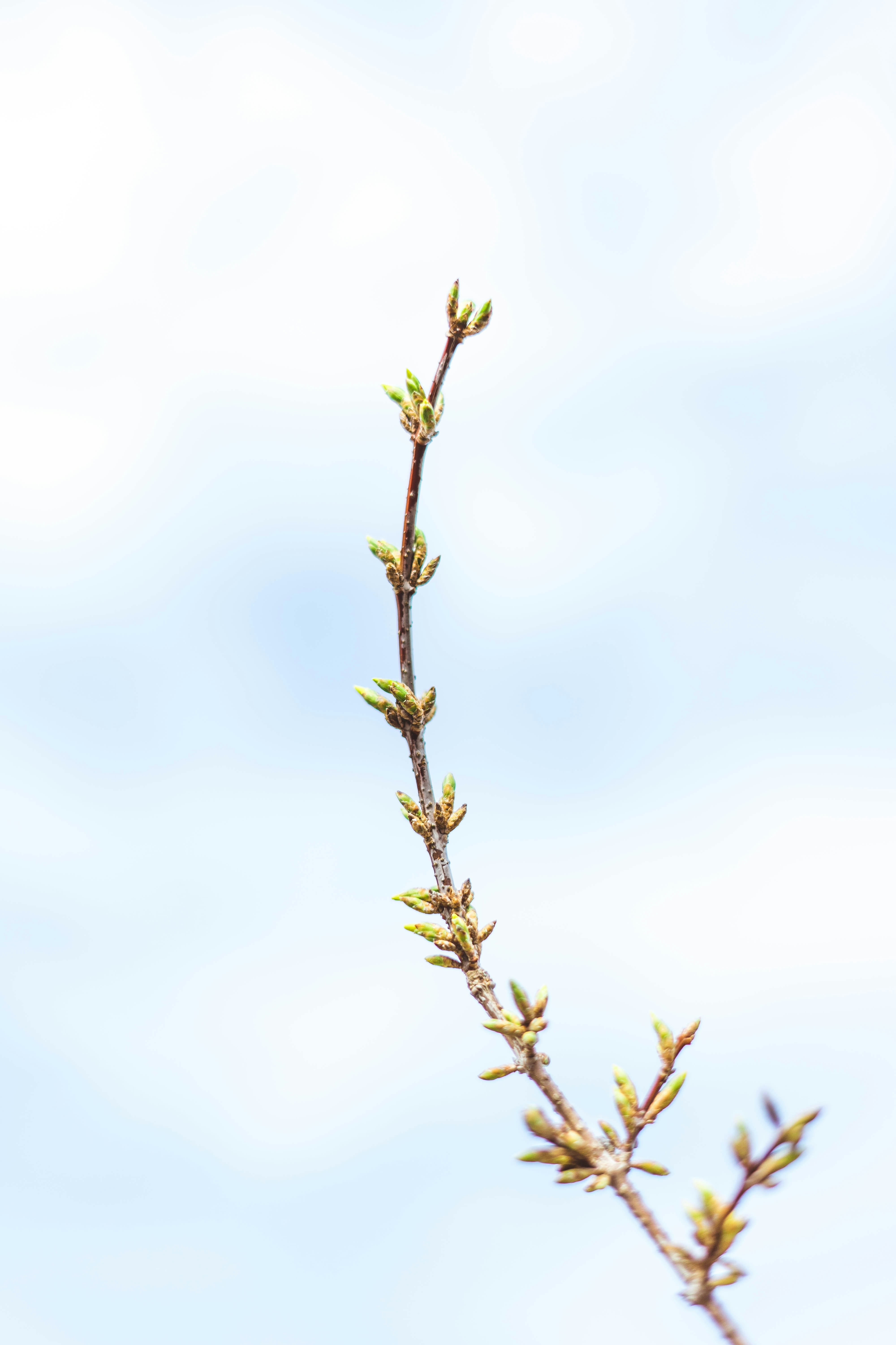 Photo by virussinside