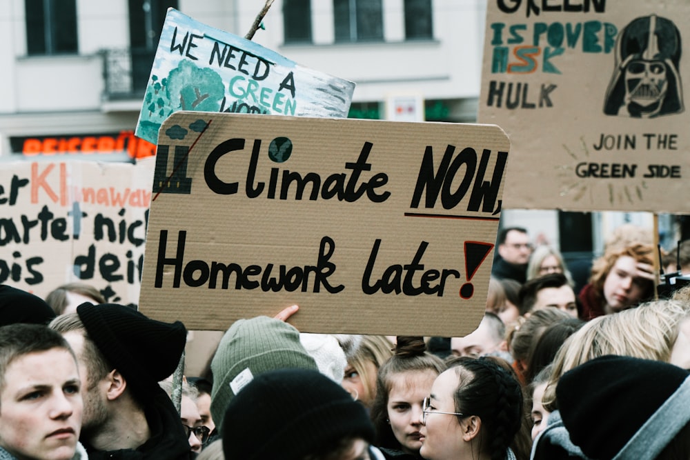 person holding sign board