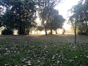 Sunset view of a public park's landscaped area with visible irrigation sprinklers
