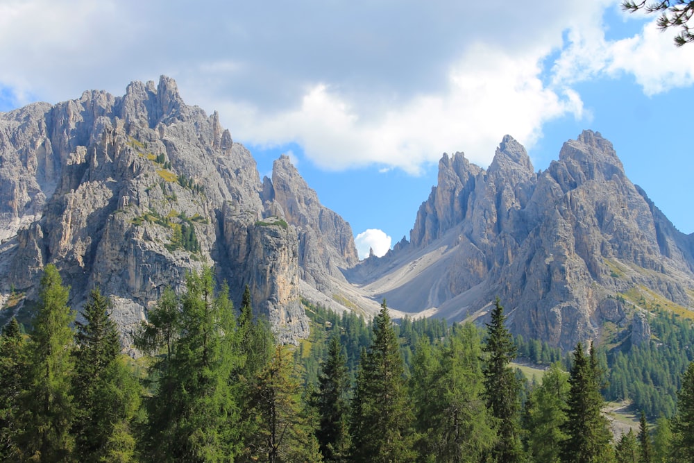 green trees near brown mountains