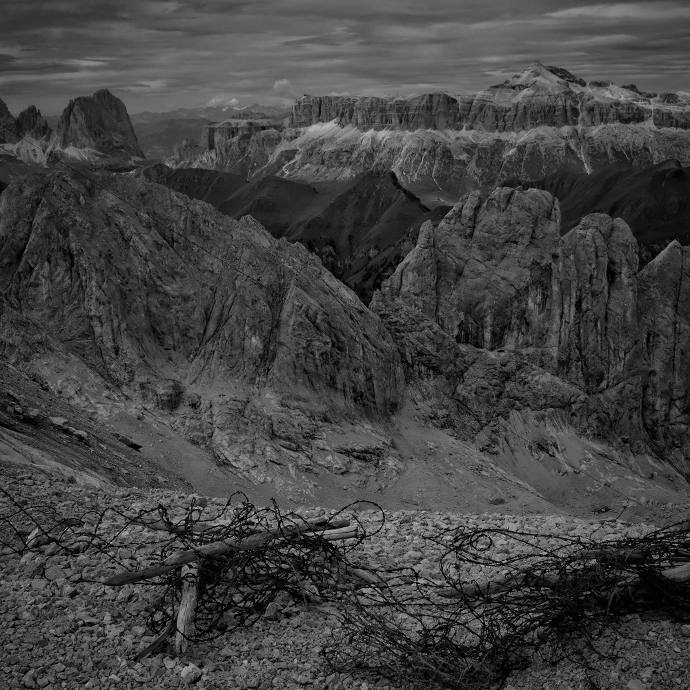 Beautiful  Free  Images  Pictures Unsplash   Beautiful  Free  Images  Pictures Unsplash