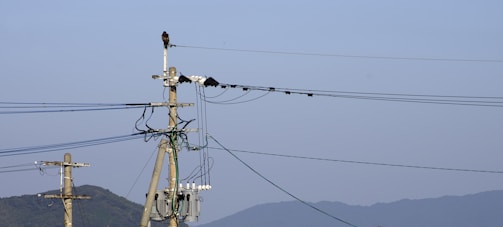 A panoramic view of Assam's power distribution grid with animated lines showing electricity flow.