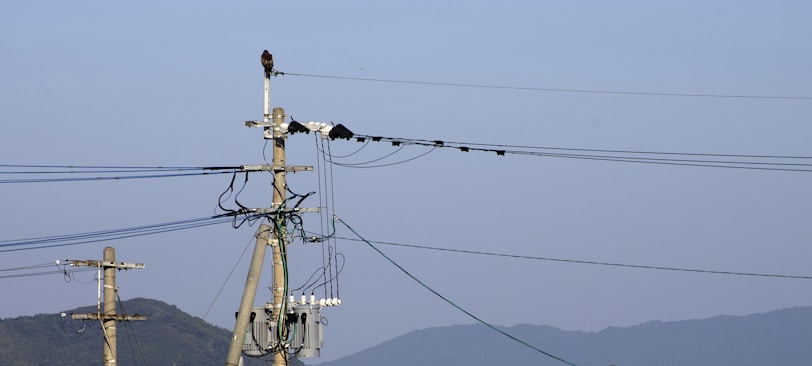 A panoramic view of Assam's power distribution network with animated overlays showing active supervision.