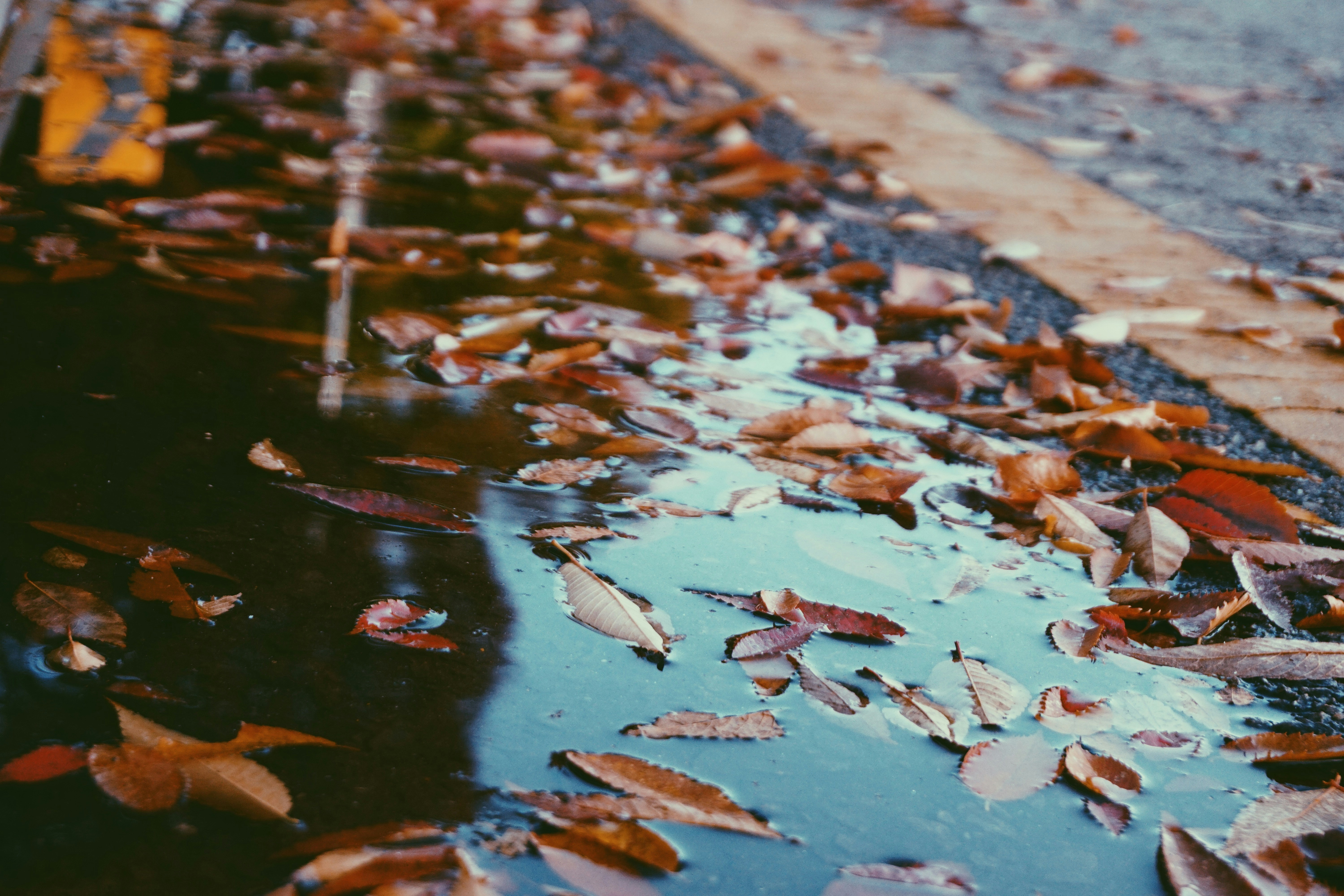 Photo by halfday