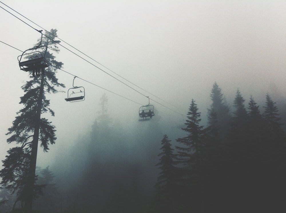black cable car above green pine trees