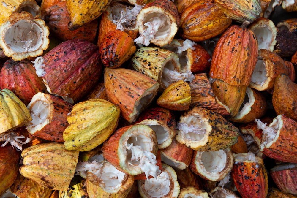 Lotto aperto di frutta di cacao