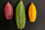 Three cacao pods are arranged in a row against a dark background. The pod on the left is reddish, the middle one is green, and the right one is yellow. Each pod has a distinct texture and elongated shape.