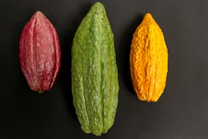 Three cacao pods are arranged in a row against a dark background. The pod on the left is reddish, the middle one is green, and the right one is yellow. Each pod has a distinct texture and elongated shape.
