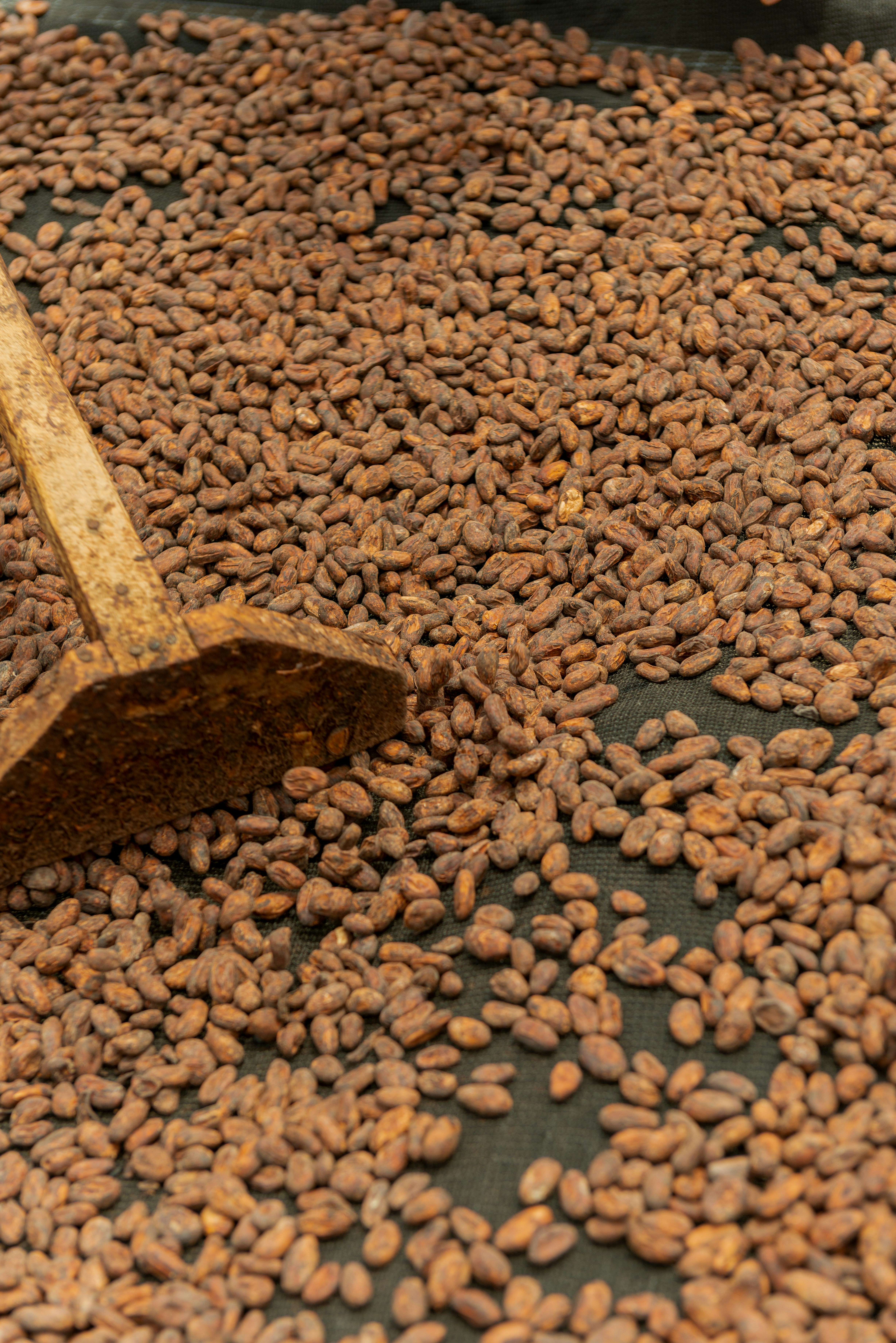 Download Yellow Liquid In Clear Glass Jar Photo Free Glass Image On Unsplash PSD Mockup Templates