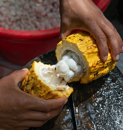 person splitting fruit