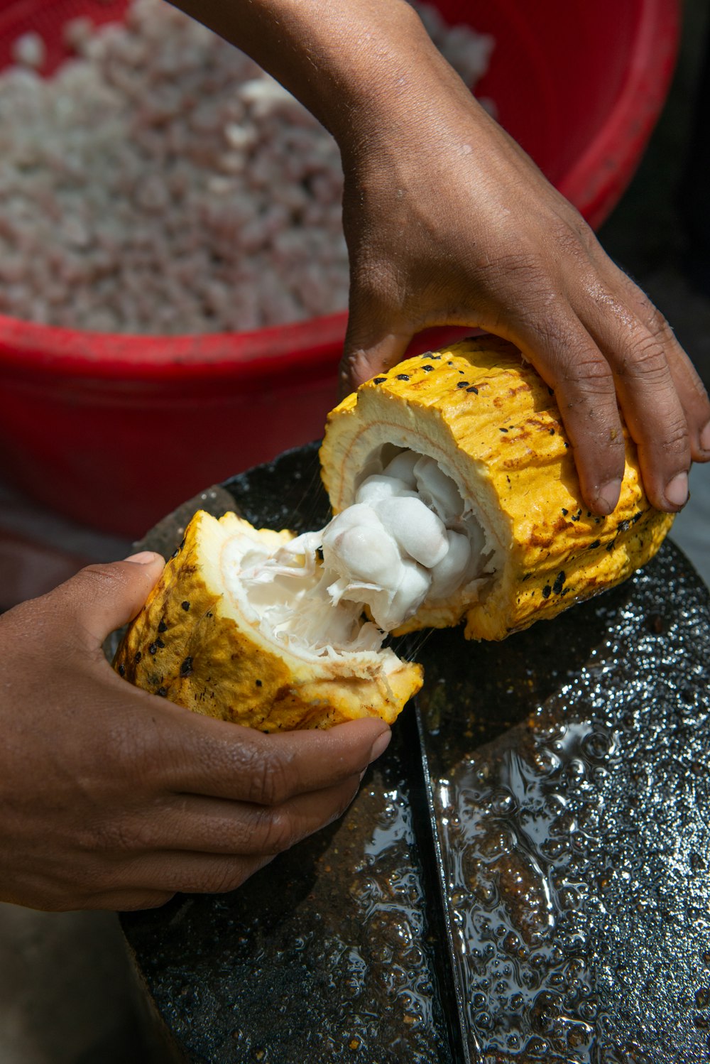 person splitting fruit