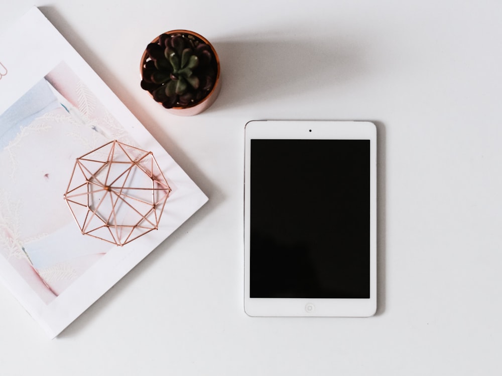 turned-off screen white iPad beside succulent plant on white surface