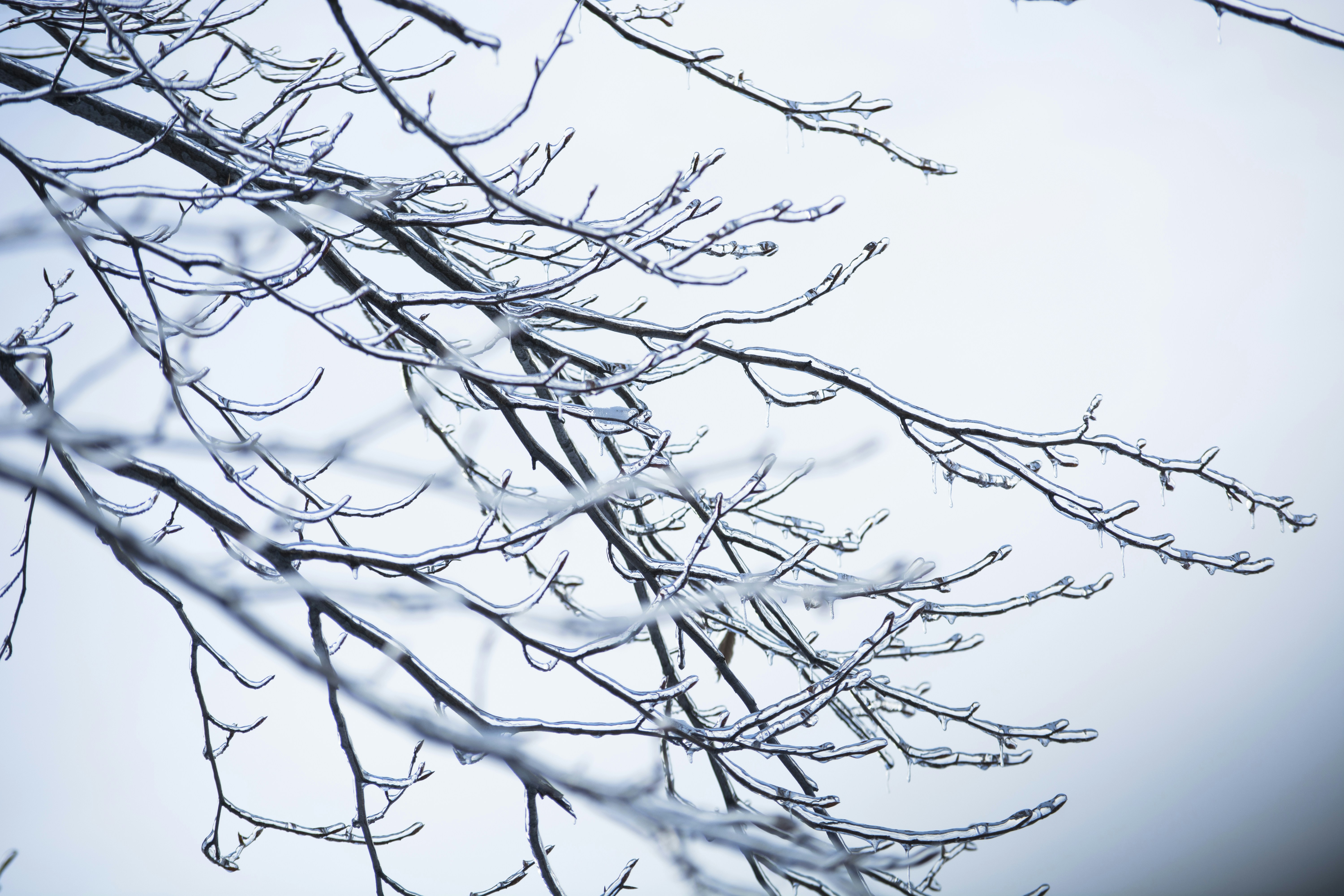 Photo by jv_photographer