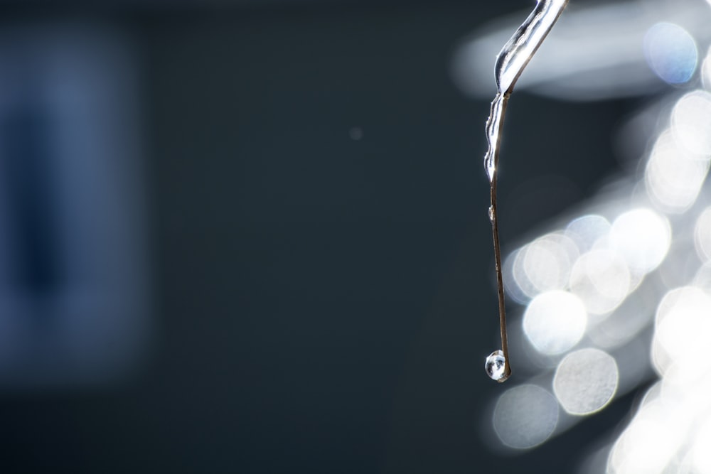 water bokeh photography