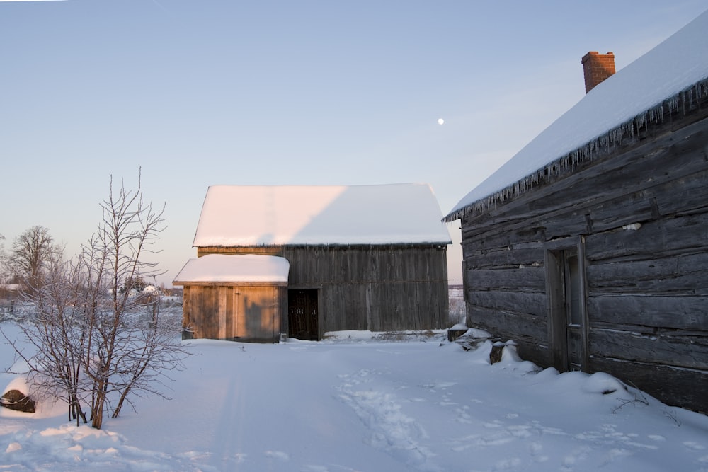 brown wooden barn