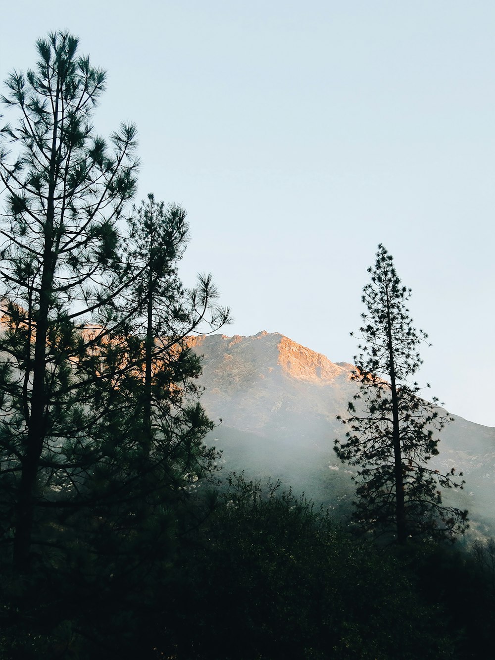 mountain covered with fogs