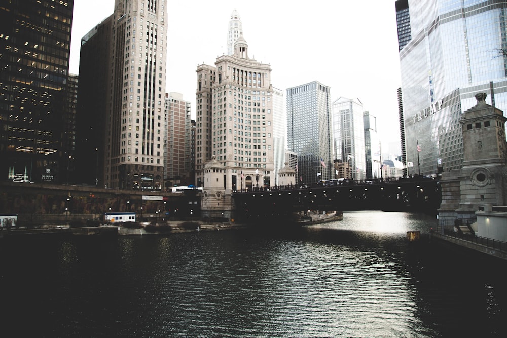 white concrete and clear glass buildings during daytime