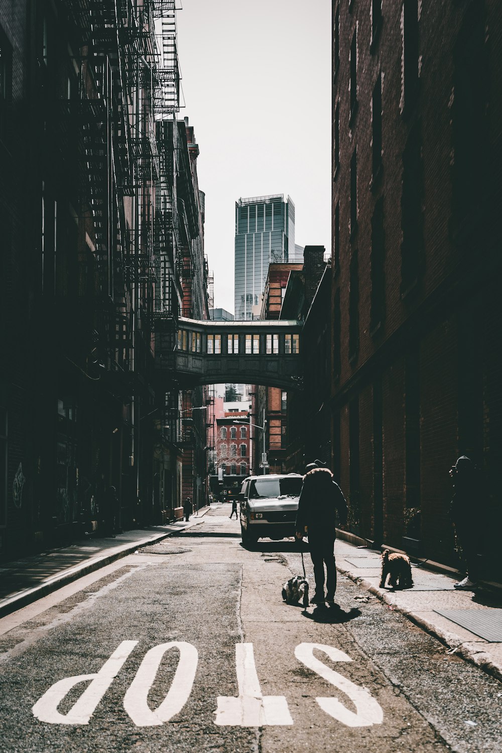 man walking on road with dog during daytime