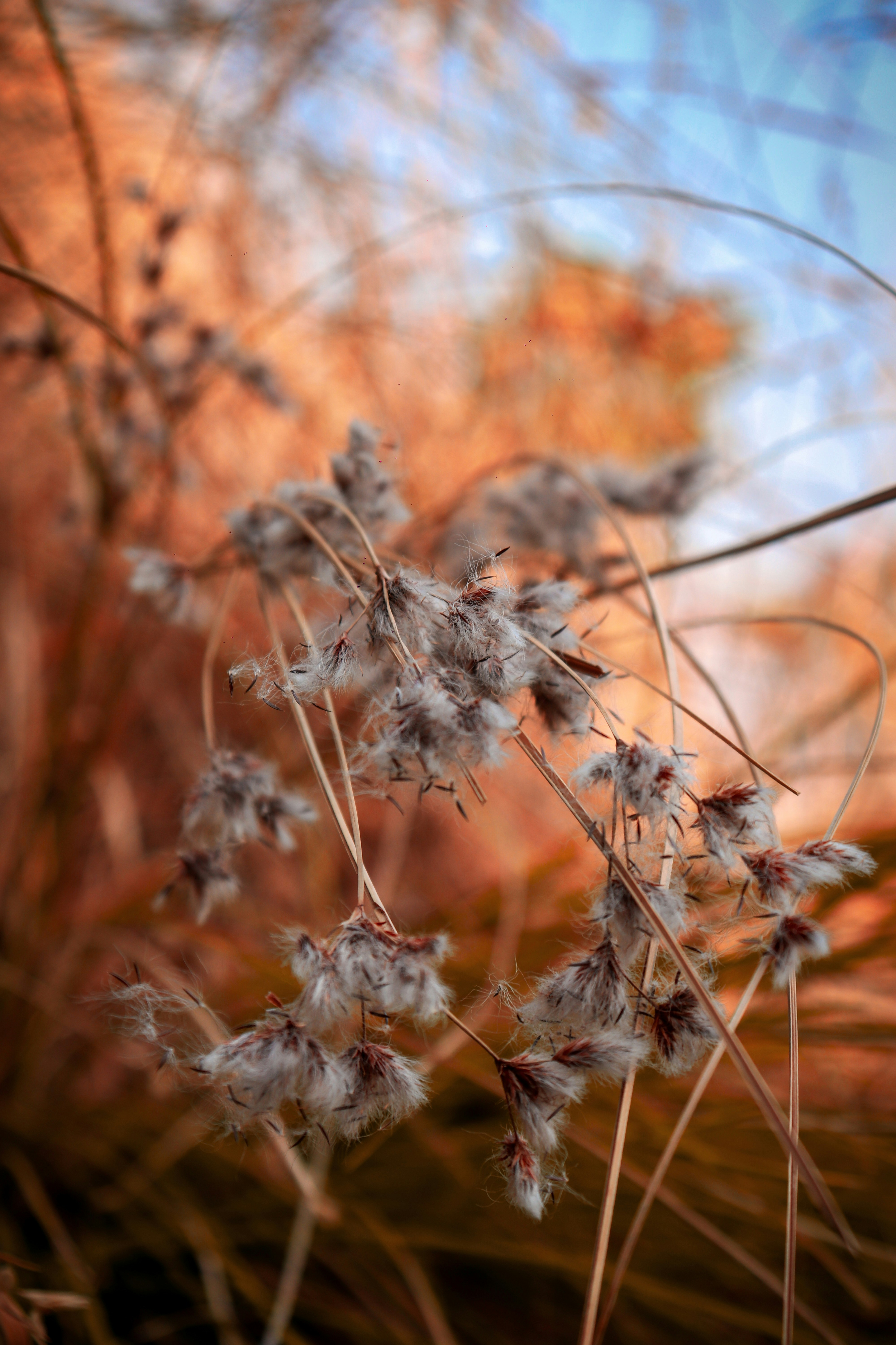 Photo by rohanlute75200