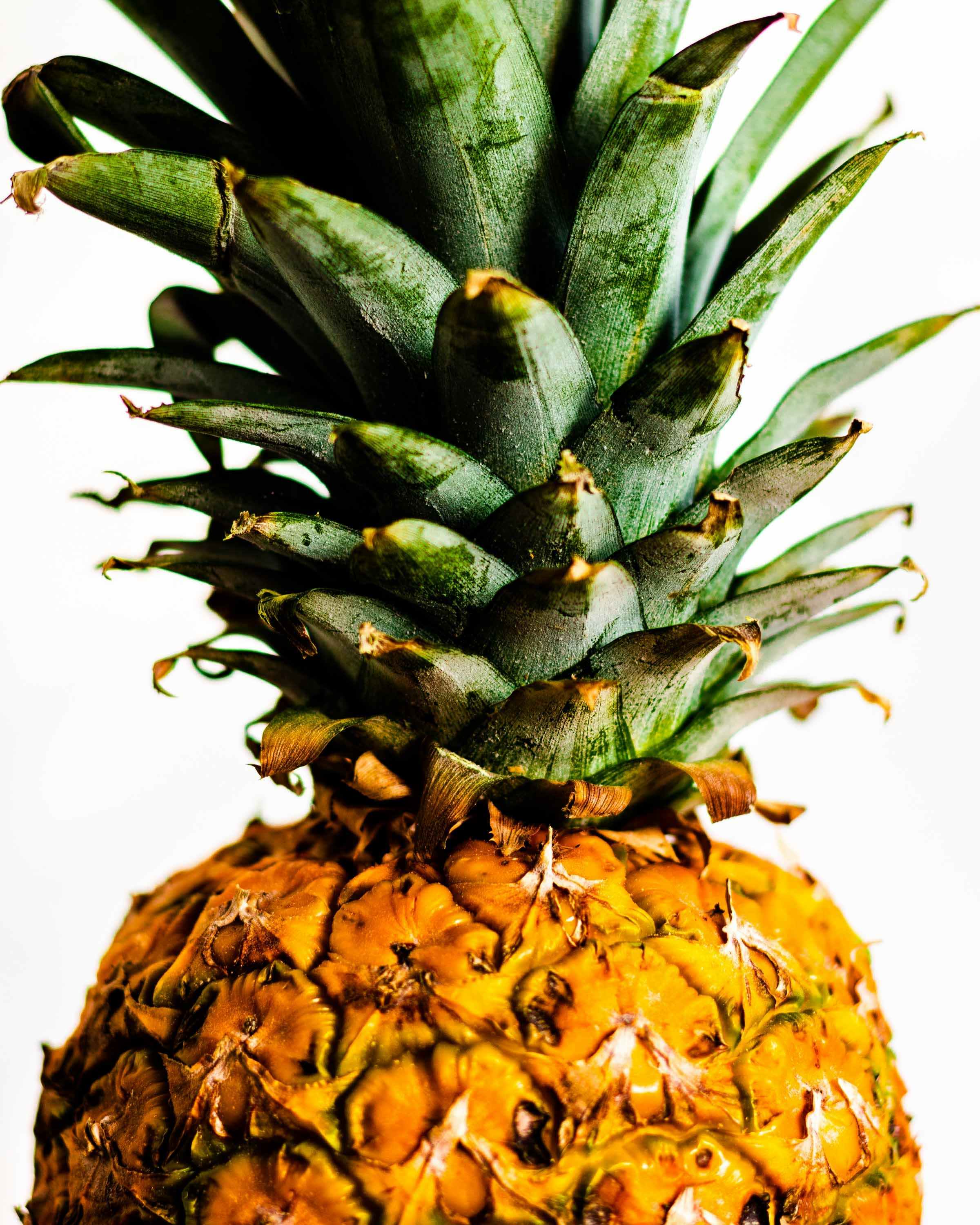 frutto dell'ananas